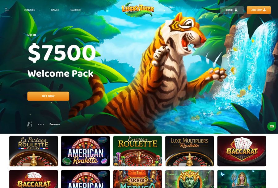 Lucky Tiger Casino - Dual Stablecoin Support