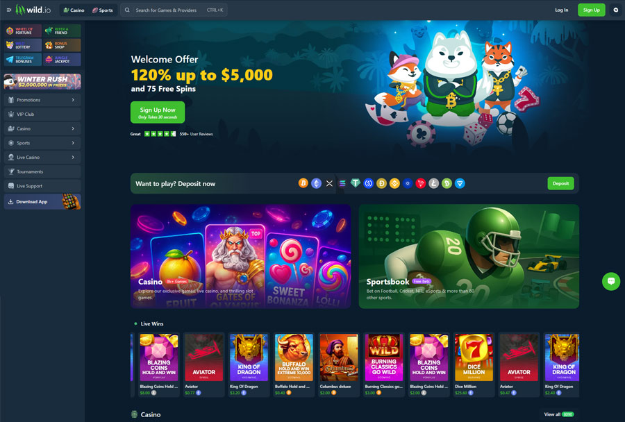 Wild.io Casino - Fast USDT Withdrawals